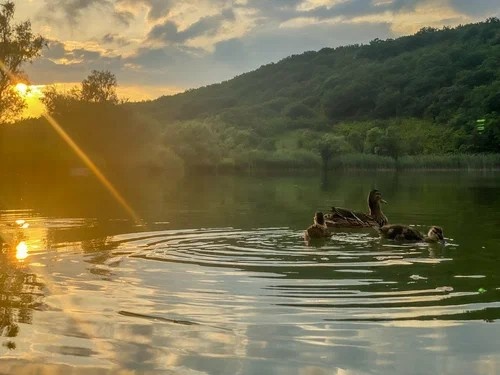 Продаём участок в необыкновенном месте Южного побережья
между семи холмов. В нашем посёлке активно строятся новые дома для круглогодичного проживания.
Семигорье расположено между Новороссийском и Анапой между Виноградными полями и Лавандовой фермой
Напрямую от Собственника!
